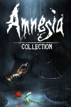 Amnesia: CollectionCollection